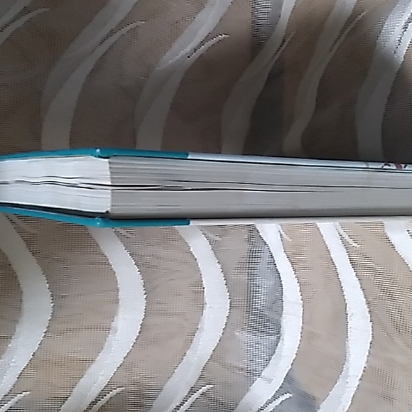 FORBIDDEN ADVICE*1703 RARELY DIVULGED SECRETS TO SAVE TIME, MONEY, AND TROUBLE!! - Picture 8 of 9